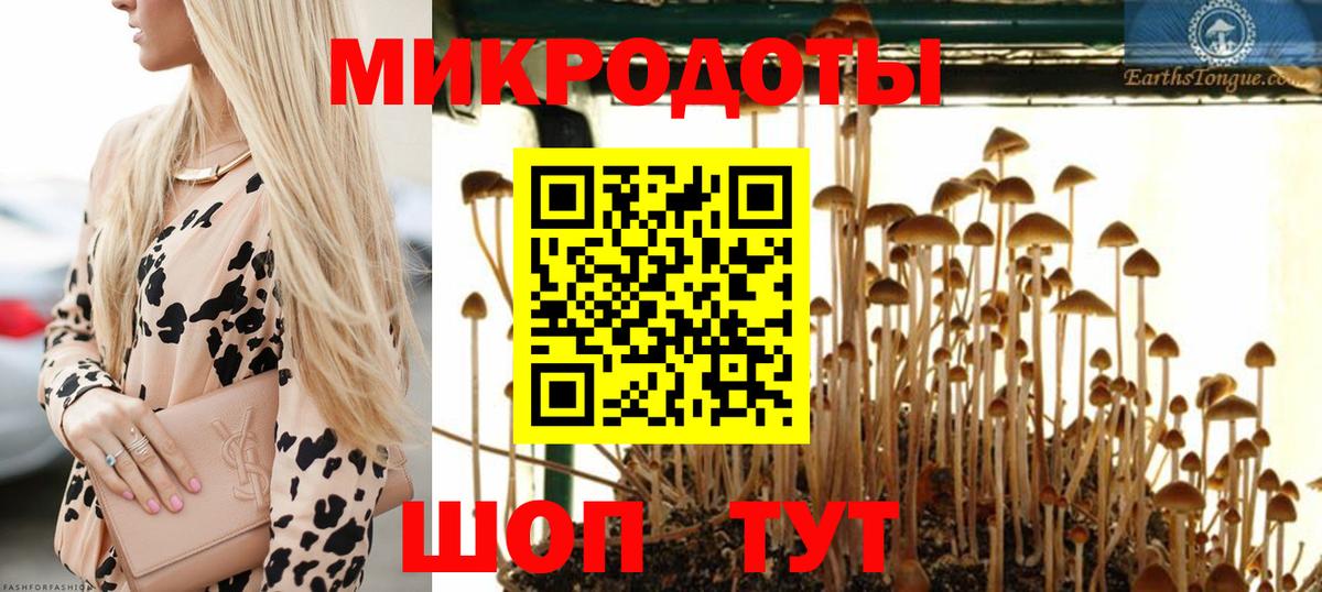 Псилоцибиновые грибы GOLDEN TEACHER  Вход с VPN  Балашиха  Псилоцибиновые грибы MAGIC MUSHROOMS 